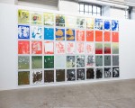 http://franziskaholstein.de/files/gimgs/th-13_Installationsansicht oT52 Galerie ASPN 2016_web.jpg